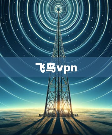 飞鸟vpn 飞鸟vpn