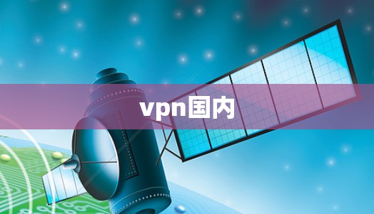 vpn国内 vpn国内