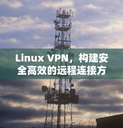 Linux VPN,构建安全高效的远程连接方案 Linux VPN,构建安全高效的远程连接方案