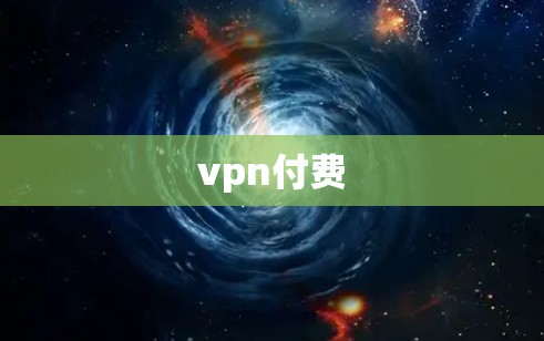 vpn付费