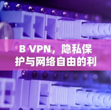 B VPN，隐私保护与网络自由的利器
