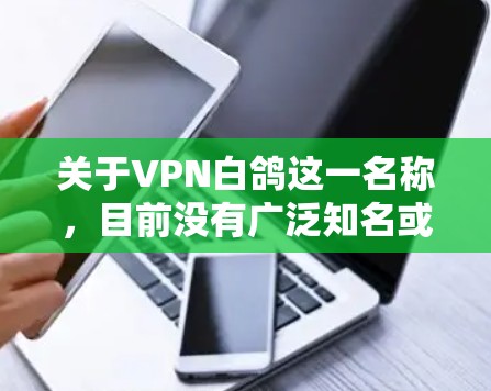 关于VPN白鸽这一名称，目前没有广泛知名或官方认可的VPN服务以此为正式名称。可能是以下情况之一