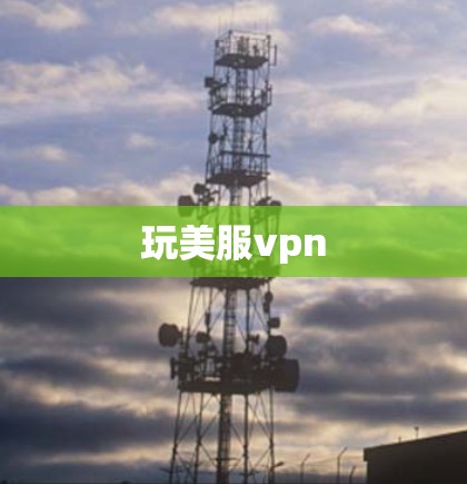 玩美服vpn