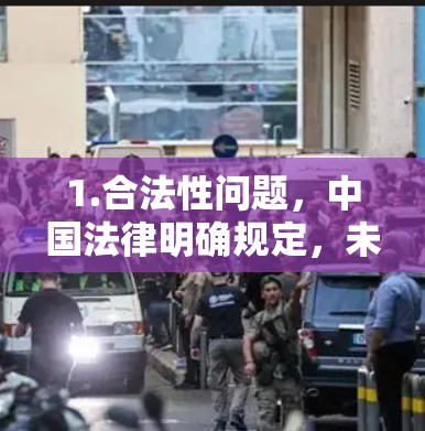 1.合法性问题，中国法律明确规定，未经批准的VPN服务不得运营或使用。个人或企业需通过正规渠道申请合法VPN（如国际企业备案的专线服务）