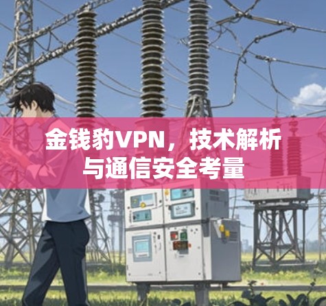 金钱豹VPN,技术解析与通信安全考量